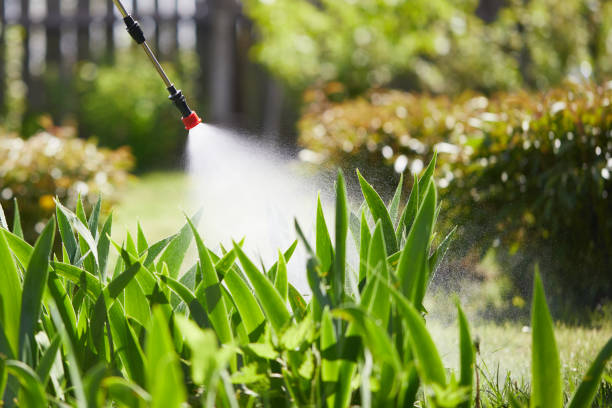 24/7 Emergency Wasp Removal experts in Oconomowoc, WI