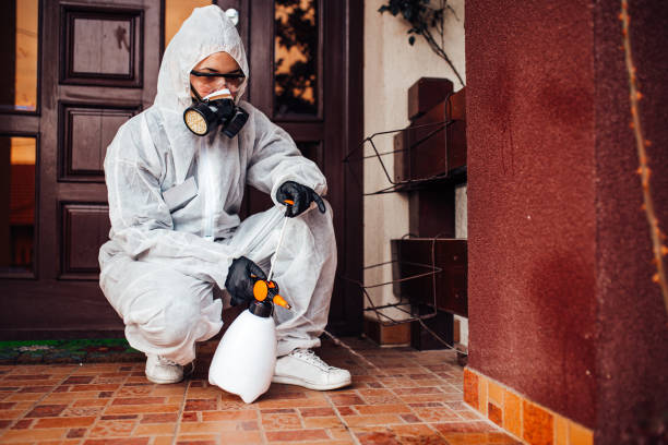 Reliable Wasp Removal contractor in Oconomowoc, WI by Show Me Pest Control