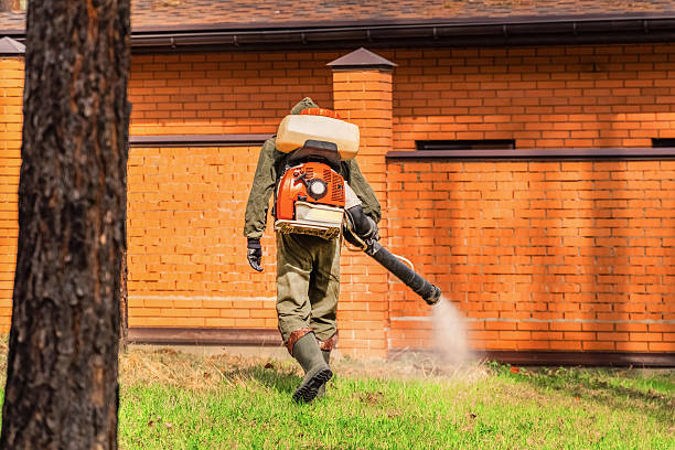 Top rated local Wasp Removal specialists in Oconomowoc, WI